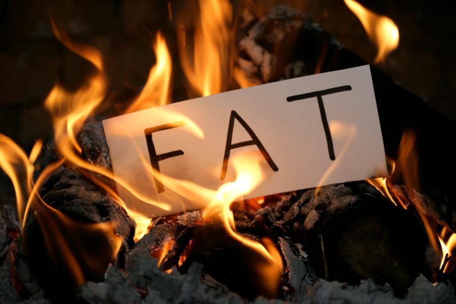 Burn The Fat Review Is The Fat Melting And Burning Off Your Body?
